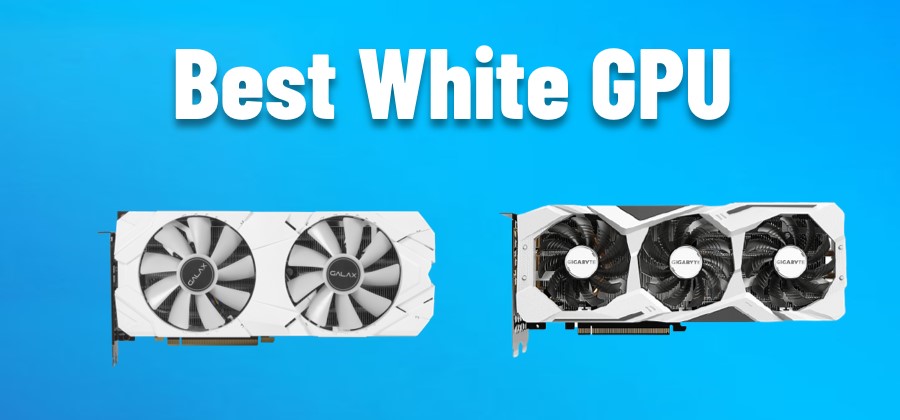 Best White GPU in 2021